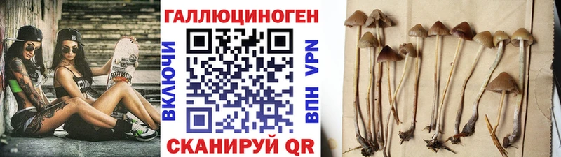 Галлюциногенные грибы прущие грибы  сайты даркнета клад  Енисейск  где найти наркотики 