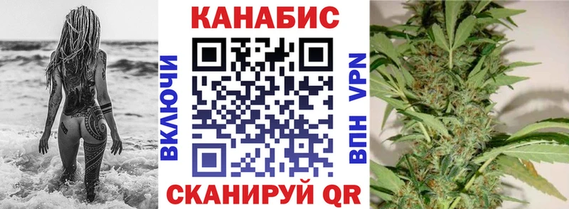 Бошки Шишки планчик Енисейск